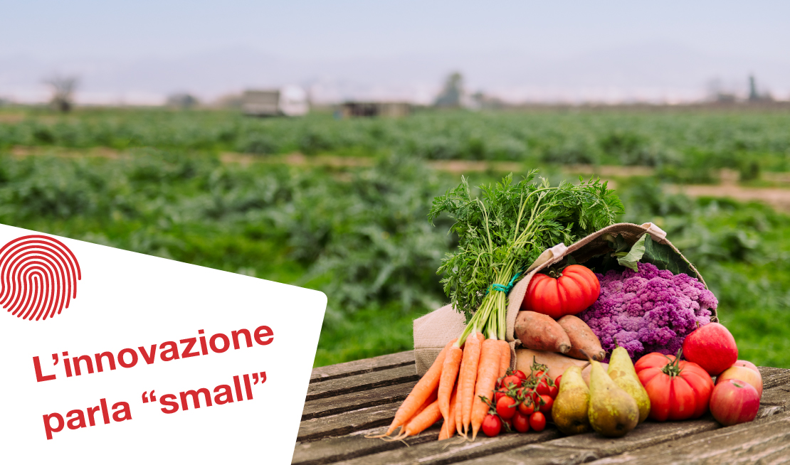 L’innovazione parla “small”: come i brand minori guidano il cambiamento